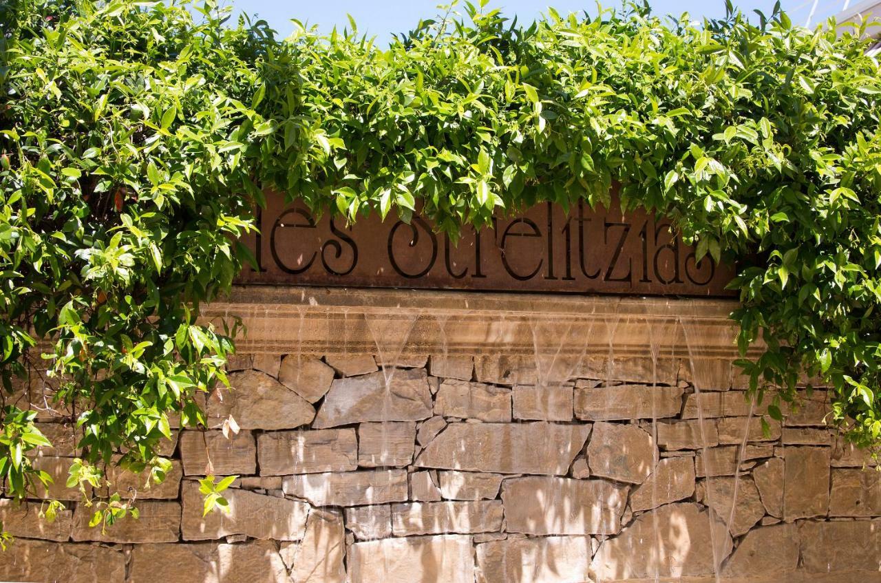 The Originals Boutique, Hôtel Les Strélitzias Juan-les-Pins Exterior foto